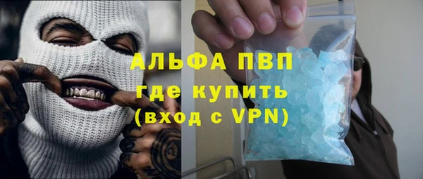 прущие грибы Инта