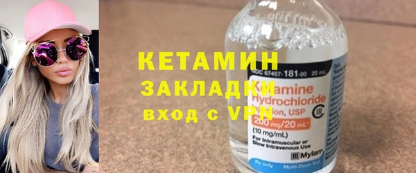 прущие грибы Инта