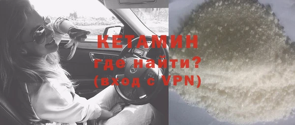 прущие грибы Инта
