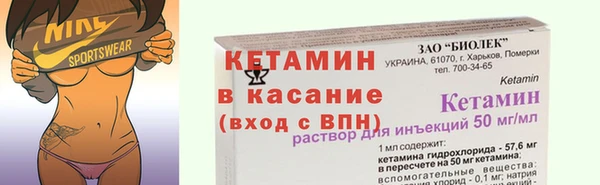 прущие грибы Инта