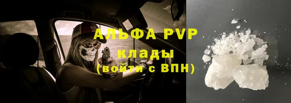прущие грибы Инта