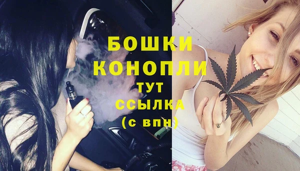 не бодяженный Иннополис
