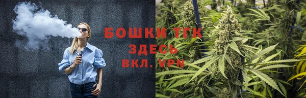 не бодяженный Иннополис