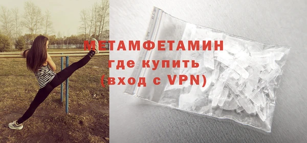 прущие грибы Инта