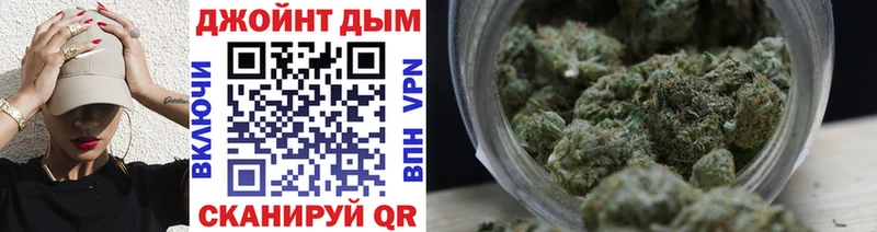 Купить  Белая Холуница  Бошки Шишки сатива 